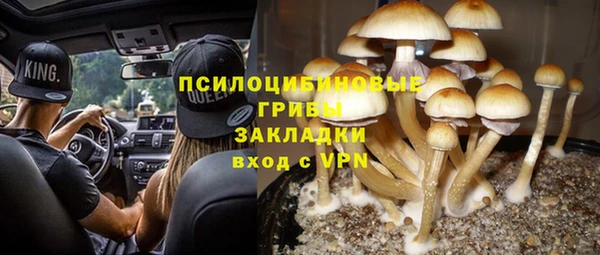ALPHA PVP Алексеевка