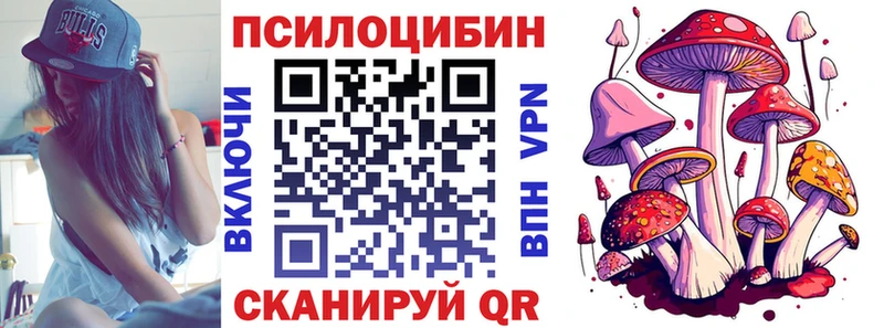 где купить наркоту  Галич  Галлюциногенные грибы Psilocybine cubensis 